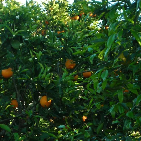 Tenuta Litta - Masseria Lizza Bed & Breakfast