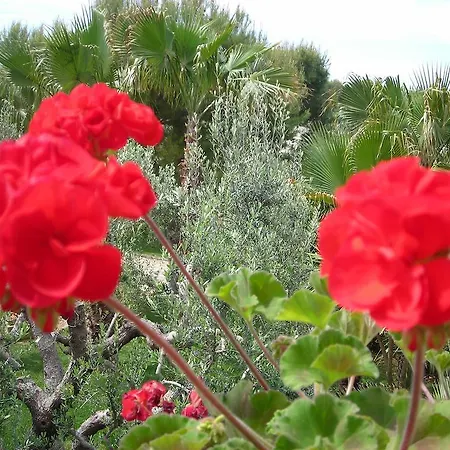 Tenuta Litta - Masseria Lizza *