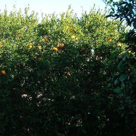 Tenuta Litta - Masseria Lizza Bed & Breakfast *