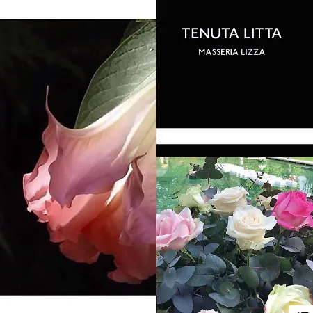 Bed & Breakfast Tenuta Litta - Masseria Lizza